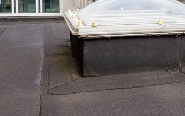 disadvantages of Town Barton flat roofs